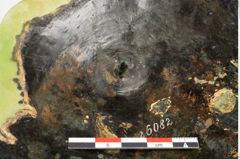 Foto von Bronzehelmbesatzscheibe (NHMW-PRAE-026082)